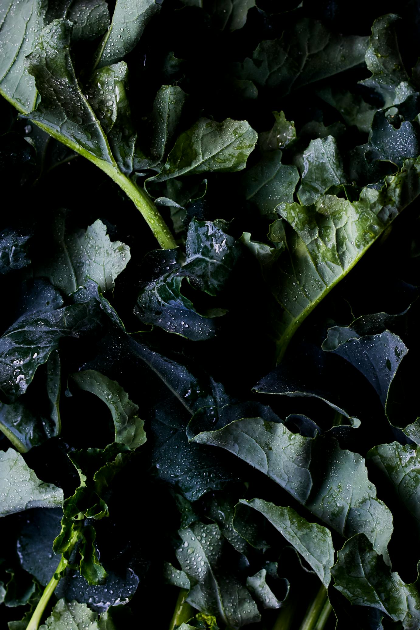 ONE Greens incidental crop ISSY CROKER
